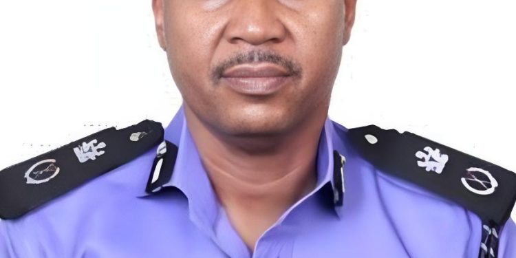 Op-Ed: What is the Mission of new Osun Police Commissioner?