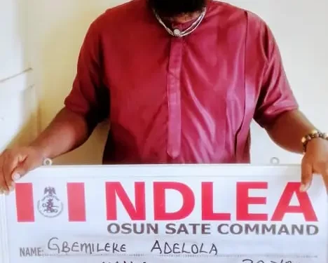 NDLEA Raids Illicit Drug Party In Osogbo, Nabs Organizers