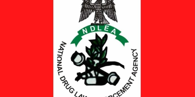 NDLEA seeks Osun hunter’s support in tackling drug abuse