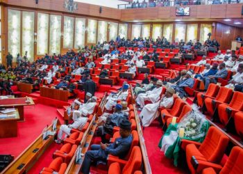 1bn for trip: Stay in your office – Senate slams Trade Minister
