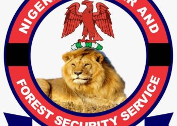 With 6,000 men, we can keep Osun forest safe -Hunters’ group