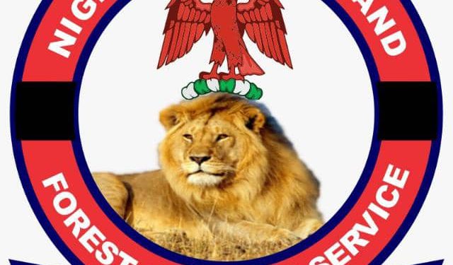 With 6,000 men, we can keep Osun forest safe -Hunters’ group