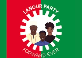 LP suspends national Treasurer, Opara for six months for challenging national chair