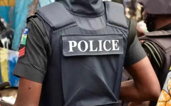 52 suspected cultists arrested as police burst initiation event in Ogun