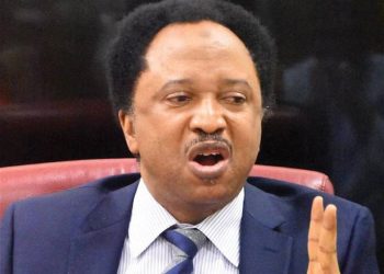 AFCON Final: How Nigerian women can save husbands from death – Sheu Sani