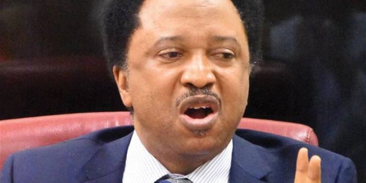 AFCON Final: How Nigerian women can save husbands from death – Sheu Sani