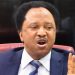 AFCON Final: How Nigerian women can save husbands from death – Sheu Sani