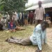 Labourer gets 12 strokes of cane for stealing