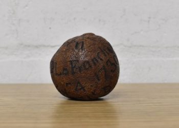 285-year-old lemon auctioned for N1.8m