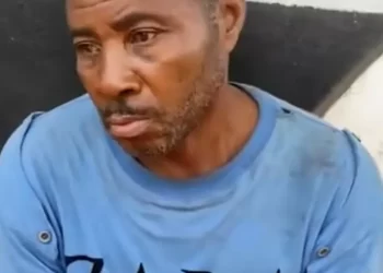 Man arrested for killing monkey