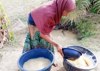 Inside FCT community where residents share water with cows