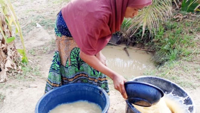 Inside FCT community where residents share water with cows