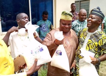 Osun LG chair distributes food palliative to residents, staff