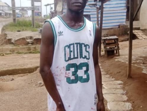 Group urges security operatives to prosecute hoodlums who invade OSTMS secretariat